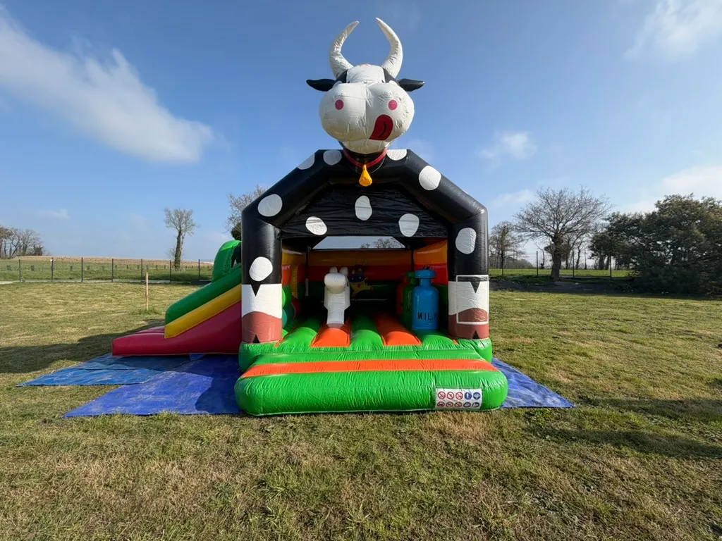 Giant Cow Bouncy Castle for hire